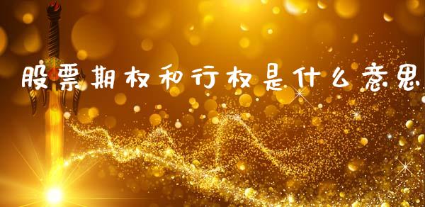股票期权和行权是什么意思_https://wap.15771688.com_道指期货_第1张