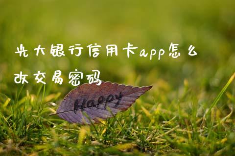 光大银行信用卡app怎么改交易密码_https://wap.15771688.com_原油期货直播室_第1张