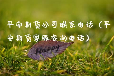 平安期货公司联系电话(平安期货客服咨询电话)_道指期货_第1张_原油期货直播室_道指期_期货手续费一览表_国际期货 平安期货公司联系电话(平安期货客服咨询电话)_https://wap.15771688.com_道指期货_第1张