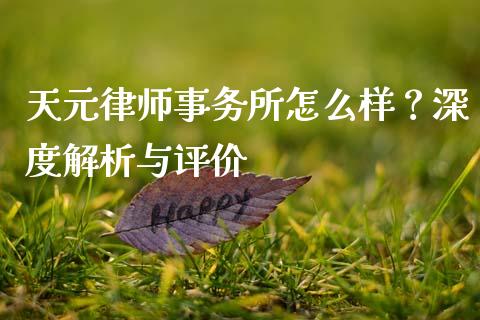天元律师事务所怎么样？深度解析与评价_https://wap.15771688.com_原油期货直播室_第1张