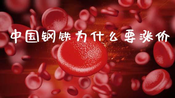 中国钢铁为什么要涨价_https://wap.15771688.com_道指期货_第1张