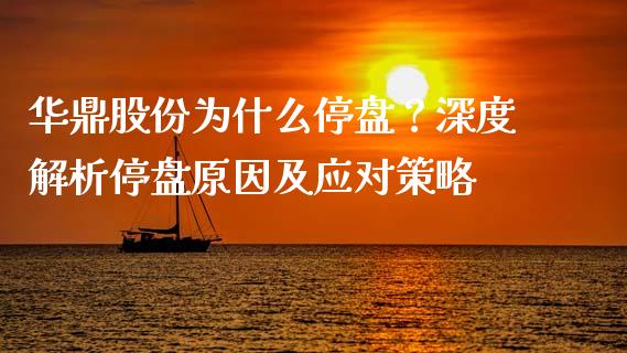 华鼎股份为什么停盘？深度解析停盘原因及应对策略_https://wap.15771688.com_原油期货直播室_第1张