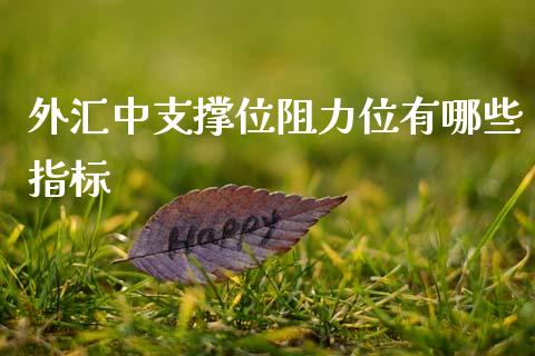 外汇中支撑位阻力位有哪些指标_https://wap.15771688.com_国际期货_第1张