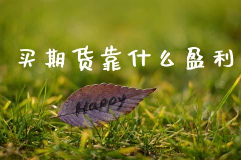 买期货靠什么盈利_https://wap.15771688.com_国际期货_第1张