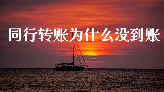 同行转账为什么没到账_https://wap.15771688.com_期货手续费一览表_第1张