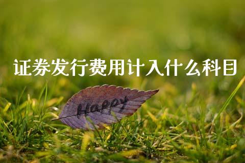 证券发行费用计入什么科目_https://wap.15771688.com_道指期货_第1张