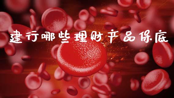 建行哪些理财产品保底_https://wap.15771688.com_期货手续费一览表_第1张