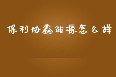保利协鑫能源怎么样_https://wap.15771688.com_道指期货_第1张