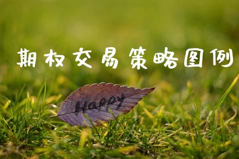 期权交易策略图例_https://wap.15771688.com_原油期货直播室_第1张