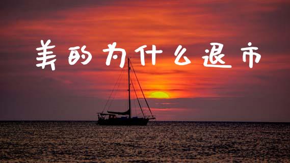 美的为什么退市_https://wap.15771688.com_国际期货_第1张