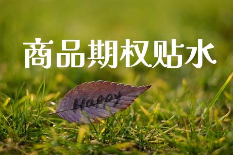 商品期权贴水_https://wap.15771688.com_国际期货_第1张
