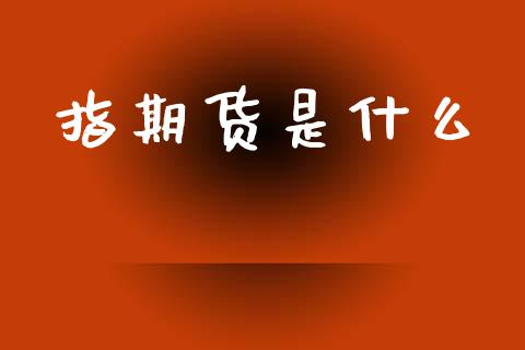指期货是什么_https://wap.15771688.com_期货手续费一览表_第1张