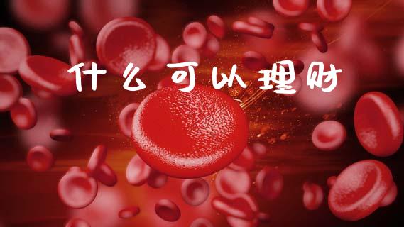 什么可以理财_https://wap.15771688.com_道指期货_第1张
