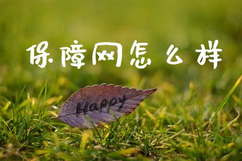 保障网怎么样_https://wap.15771688.com_期货手续费一览表_第1张