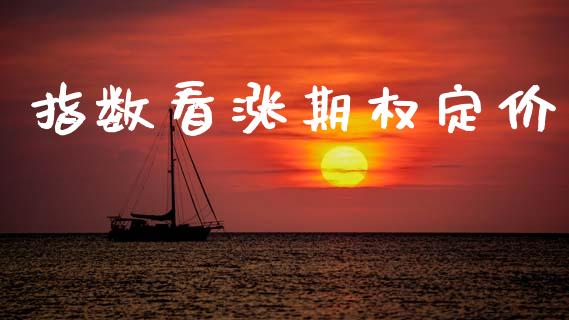 指数看涨期权定价_https://wap.15771688.com_道指期货_第1张