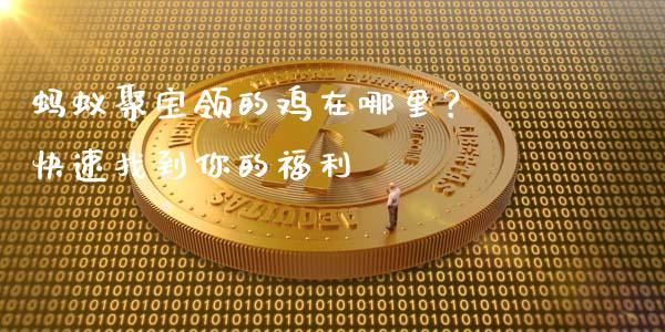 蚂蚁聚宝领的鸡在哪里？ 快速找到你的福利_https://wap.15771688.com_原油期货直播室_第1张