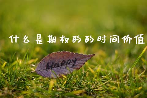 什么是期权的的时间价值_https://wap.15771688.com_期货手续费一览表_第1张