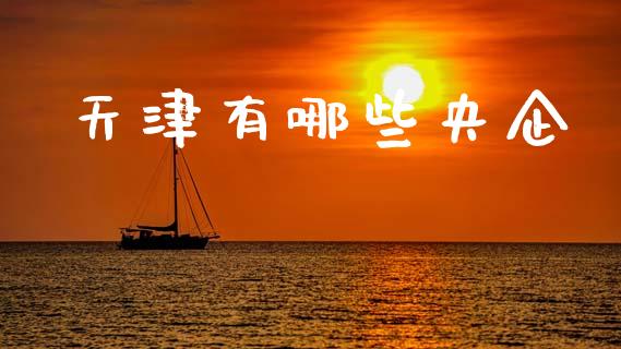 天津有哪些央企_https://wap.15771688.com_原油期货直播室_第1张