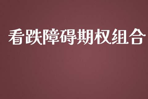 看跌障碍期权组合_https://wap.15771688.com_期货手续费一览表_第1张