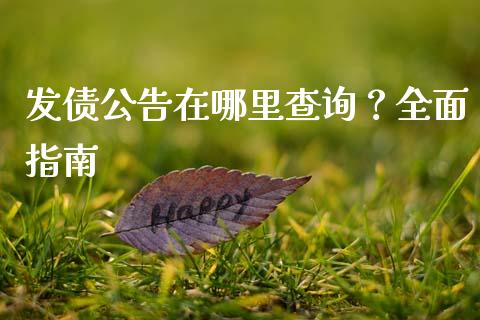 发债公告在哪里查询？全面指南_https://wap.15771688.com_道指期货_第1张