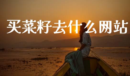 买菜籽去什么网站_道指期货_第1张_原油期货直播室_道指期_期货手续费一览表_国际期货 买菜籽去什么网站_https://wap.15771688.com_道指期货_第1张