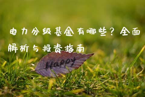 电力分级基金有哪些？全面解析与投资指南_https://wap.15771688.com_道指期货_第1张