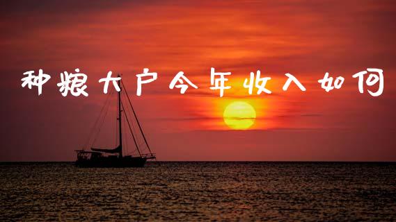 种粮大户今年收入如何_https://wap.15771688.com_原油期货直播室_第1张
