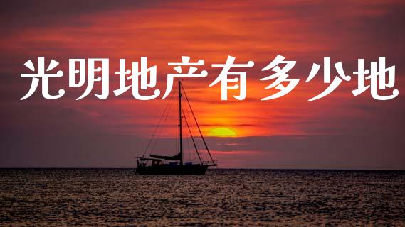 光明地产有多少地_https://wap.15771688.com_期货手续费一览表_第1张
