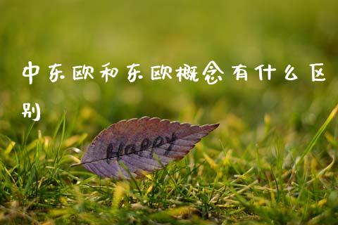 中东欧和东欧概念有什么区别_https://wap.15771688.com_国际期货_第1张