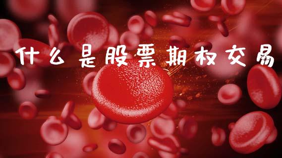 什么是股票期权交易_https://wap.15771688.com_原油期货直播室_第1张