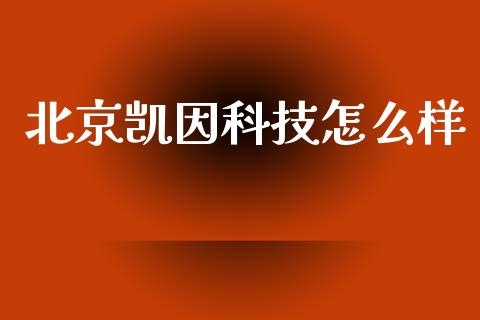 北京凯因科技怎么样_https://wap.15771688.com_道指期货_第1张