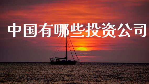 中国有哪些投资公司_https://wap.15771688.com_国际期货_第1张