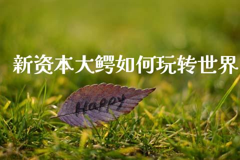新资本大鳄如何玩转世界_https://wap.15771688.com_原油期货直播室_第1张