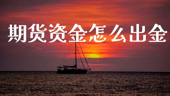 期货资金怎么出金_https://wap.15771688.com_期货手续费一览表_第1张