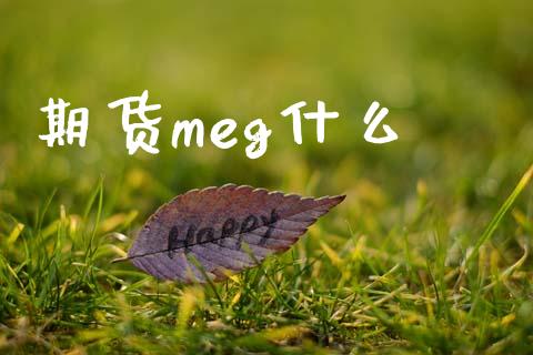 期货meg什么_https://wap.15771688.com_道指期货_第1张