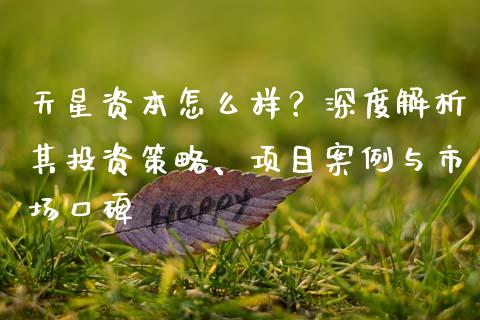 天星资本怎么样？深度解析其投资策略、项目案例与市场口碑_https://wap.15771688.com_国际期货_第1张