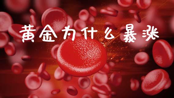 黄金为什么暴涨_https://wap.15771688.com_国际期货_第1张