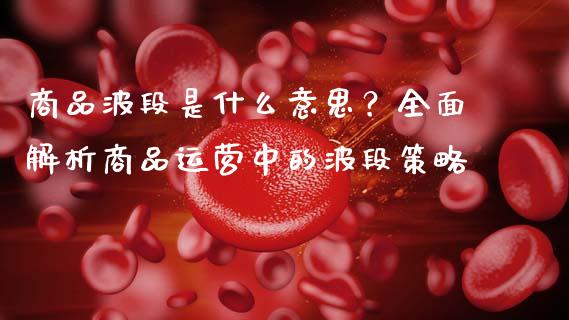 商品波段是什么意思？全面解析商品运营中的波段策略_https://wap.15771688.com_期货手续费一览表_第1张
