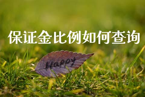 保证金比例如何查询_https://wap.15771688.com_国际期货_第1张