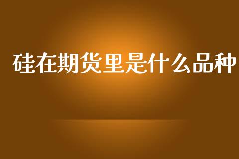 硅在期货里是什么品种_https://wap.15771688.com_期货手续费一览表_第1张