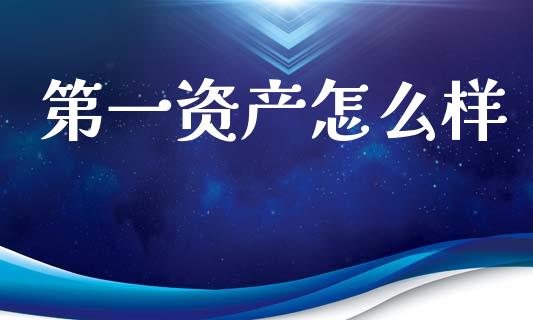 第一资产怎么样_https://wap.15771688.com_期货手续费一览表_第1张
