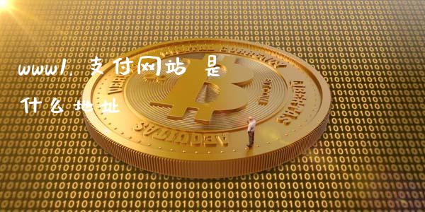 www1. 支付网站 是什么地址_https://wap.15771688.com_道指期货_第1张
