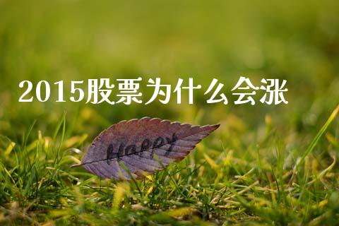 2015股票为什么会涨_https://wap.15771688.com_国际期货_第1张