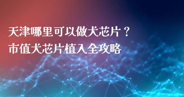 天津哪里可以做犬芯片？ 市值犬芯片植入全攻略_https://wap.15771688.com_期货手续费一览表_第1张