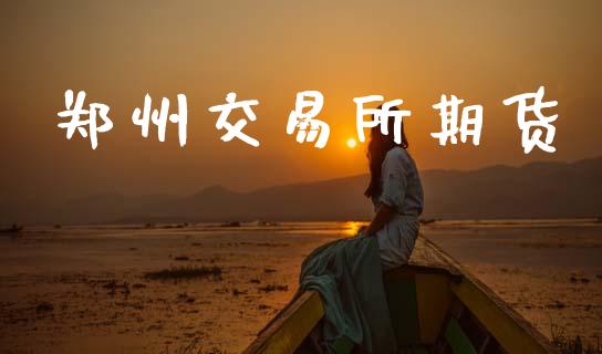 郑州交易所期货_https://wap.15771688.com_期货手续费一览表_第1张
