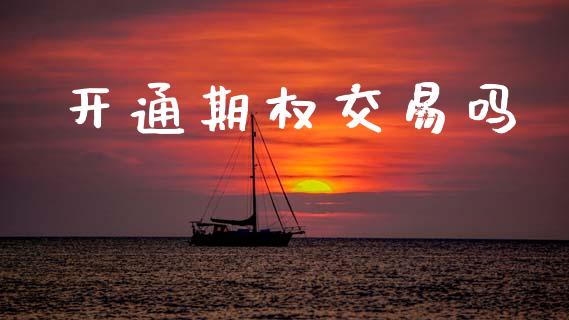 开通期权交易吗_https://wap.15771688.com_国际期货_第1张