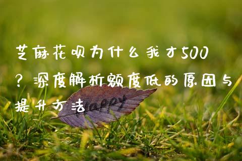 芝麻花呗为什么我才500？深度解析额度低的原因与提升方法_https://wap.15771688.com_期货手续费一览表_第1张