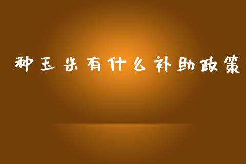 种玉米有什么补助政策_https://wap.15771688.com_期货手续费一览表_第1张
