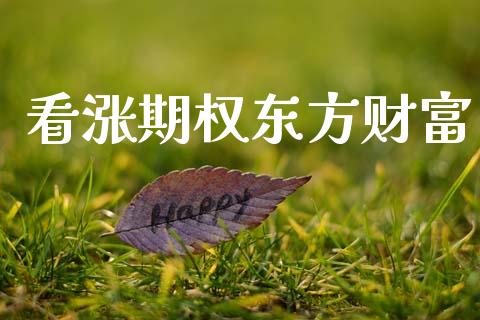 看涨期权东方财富_https://wap.15771688.com_期货手续费一览表_第1张