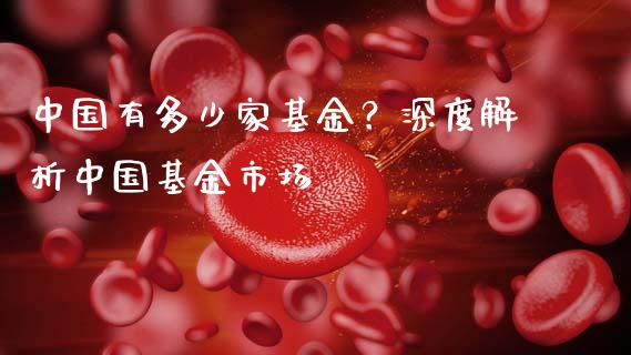 中国有多少家基金？深度解析中国基金市场_https://wap.15771688.com_期货手续费一览表_第1张